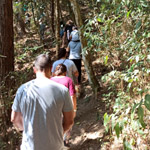 Trilhas ecológicas na mata - team building na natureza